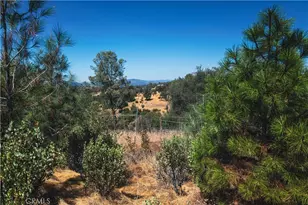 6070 Old Olive, Oroville, CA 95966 - Photo 19