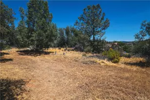 6070 Old Olive, Oroville, CA 95966 - Photo 39