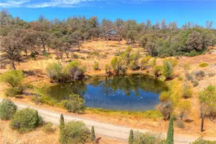 9018 Winding Way, Oregon House, CA 95962 - Photo 61