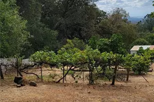 289 Skyline Blvd, Oroville, CA 95966 - Photo 51