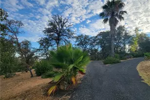 289 Skyline Blvd, Oroville, CA 95966 - Photo 5