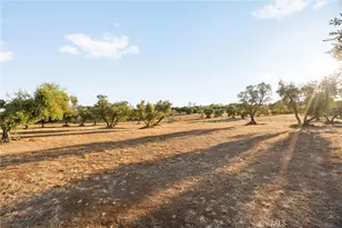 108 Manzanella Ct, Oroville, CA 95966 - Photo 53