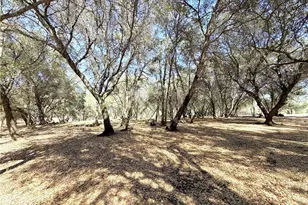1816 Swedes Flat, Bangor, CA 95914 - Photo 37