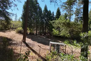 11605 Miller Peak Rd, Oroville, CA 95965 - Photo 45