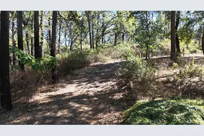 11605 Miller Peak Road, Oroville, CA 95965 - Photo 43