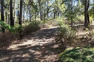 11605 Miller Peak Rd, Oroville, CA 95965 - Photo 43