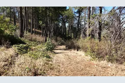 11605 Miller Peak Road, Oroville, CA 95965 - Photo 47
