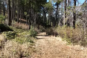 11605 Miller Peak Rd, Oroville, CA 95965 - Photo 47