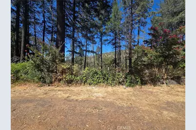 11605 Miller Peak Road, Oroville, CA 95965 - Photo 3