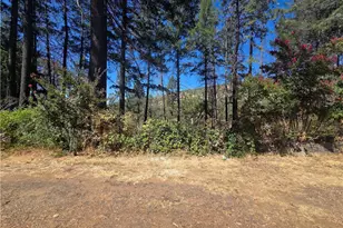 11605 Miller Peak Rd, Oroville, CA 95965 - Photo 3