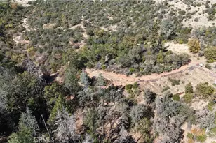 11605 Miller Peak Rd, Oroville, CA 95965 - Photo 41