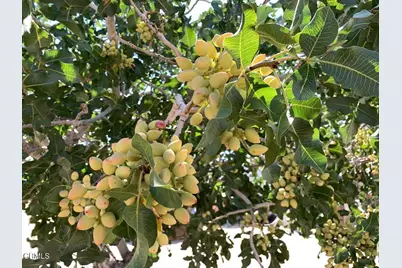 10080 Santa Fe Fire Road, Lucerne Valley, CA 92356 - Photo 9
