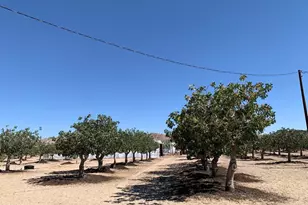 10080 Santa Fe Fire Rd, Lucerne Valley, CA 92356 - Photo 13