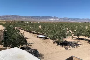 10080 Santa Fe Fire Rd, Lucerne Valley, CA 92356 - Photo 23