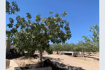 10080 Santa Fe Fire Road, Lucerne Valley, CA 92356 - Photo 25