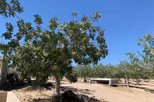 10080 Santa Fe Fire Rd, Lucerne Valley, CA 92356 - Photo 25