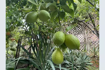 9212 Creemore Drive, La Crescenta, CA 91214 - Photo 29