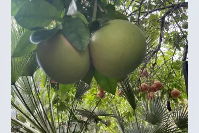 9212 Creemore Drive, La Crescenta, CA 91214 - Photo 27