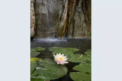 921 Chapea Road, Pasadena, CA 91107 - Photo 13