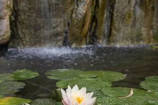 921 Chapea Rd, Pasadena, CA 91107 - Photo 13