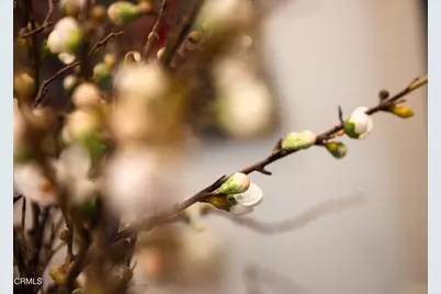 382 E California Boulevard #105, Pasadena, CA 91106 - Photo 39