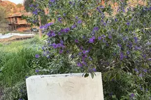 0 Jaxine Dr, Altadena, CA 91001 - Photo 7