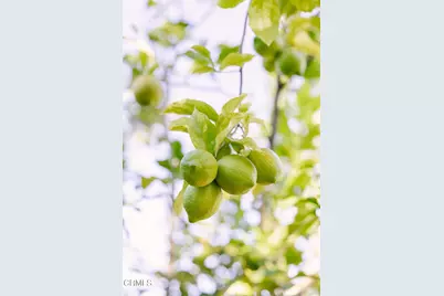 136 S Arden Boulevard, Los Angeles, CA 90004 - Photo 59