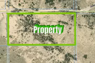 91525 Palm Rd, Baker, CA 92309 - Photo 5