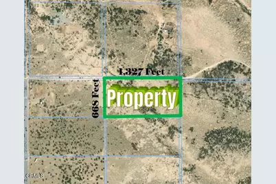 91525 Palm Road, Baker, CA 92309 - Photo 7