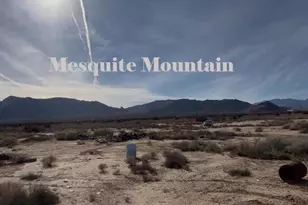 91525 Palm Rd, Baker, CA 92309 - Photo 13