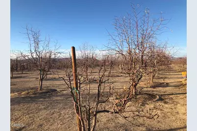 34738 Old Woman Springs Road, Lucerne Valley, CA 92356 - Photo 7