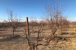 34738 Old Woman Springs Rd, Lucerne Valley, CA 92356 - Photo 7