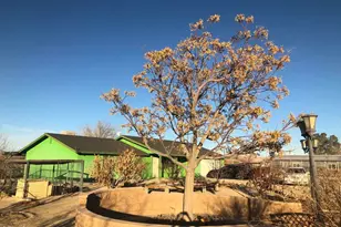 34738 Old Woman Springs Rd, Lucerne Valley, CA 92356 - Photo 9