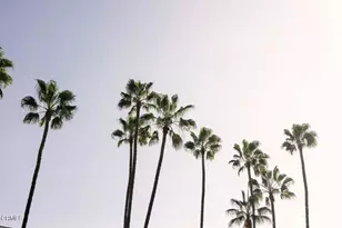 124 W Colorado St, Glendale, CA 91204 - Photo 21