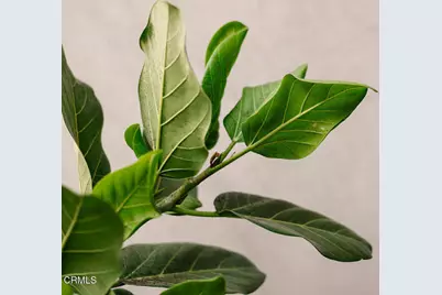 124 W Colorado Street #302, Glendale, CA 91204 - Photo 13