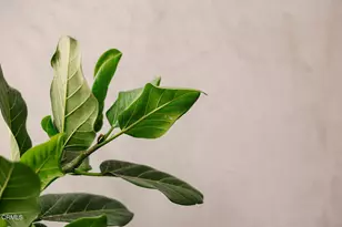 124 W Colorado St, Glendale, CA 91204 - Photo 13