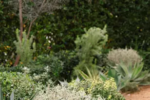 1500 Oxley St, South Pasadena, CA 91030 - Photo 3