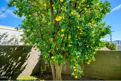 2444 N Parish Place, Burbank, CA 91504 - Photo 41