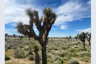 0 Bowen Ranch Road, Apple Valley, CA 92308 - Photo 5