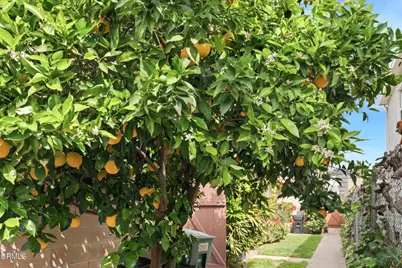 16 20 S Santa Anita Avenue, Arcadia, CA 91006 - Photo 27