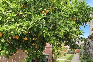 16 20 S Santa Anita Ave, Arcadia, CA 91006 - Photo 27