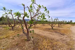 9494 Baker Rd, Lucerne Valley, CA 92356 - Photo 47