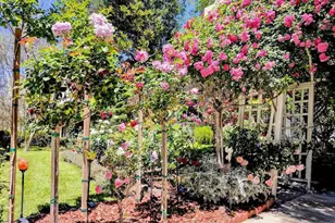 2156 El Molino Pl, San Marino, CA 91108 - Photo 35