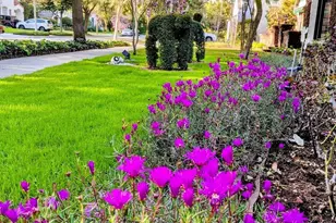 2156 El Molino Pl, San Marino, CA 91108 - Photo 39