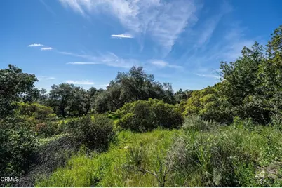 4700 Rising Hill Road, Altadena, CA 91001 - Photo 7