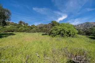 4700 Rising Hill Rd, Altadena, CA 91001 - Photo 5