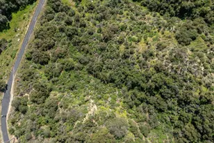 4700 Rising Hill Rd, Altadena, CA 91001 - Photo 31