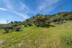 4700 Rising Hill Rd, Altadena, CA 91001 - Photo 7