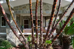 1541 Chickasaw Ave, Los Angeles, CA 90041 - Photo 3