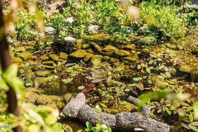 1300 Meadowbrook Road, Altadena, CA 91001 - Photo 39